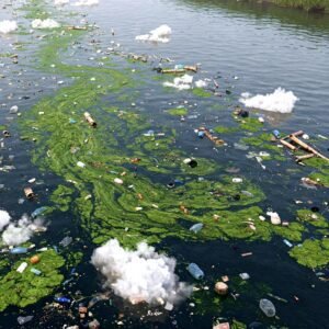 ESPCA Emerging Pollutants - Themes - Emerging Pollutants 6